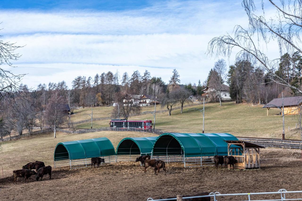 Alpin Farm Birke - Oberweidacherhof Collalbo Exterior photo